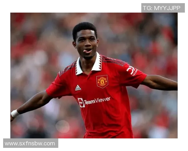 曼联足球明星头像全景展示助你了解红魔传奇球员风采