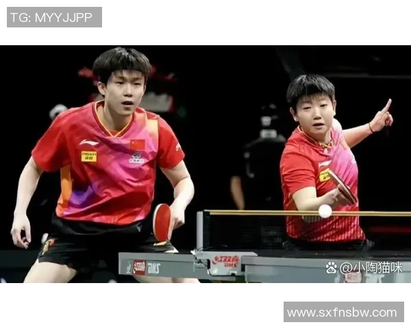 北京乒乓球队团队协作引发热议球员间配合与默契成焦点讨论